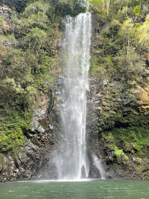 Waterfall cascading into turquoise pool tropical forest